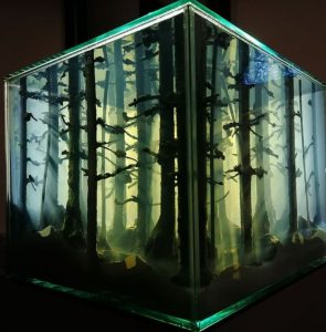 Wald-im-Aquarium-Licht-und-Transparenz